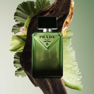 برادا ماء عطر بارادايم 50 مل